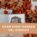 Dear Evan Hansen Rezension